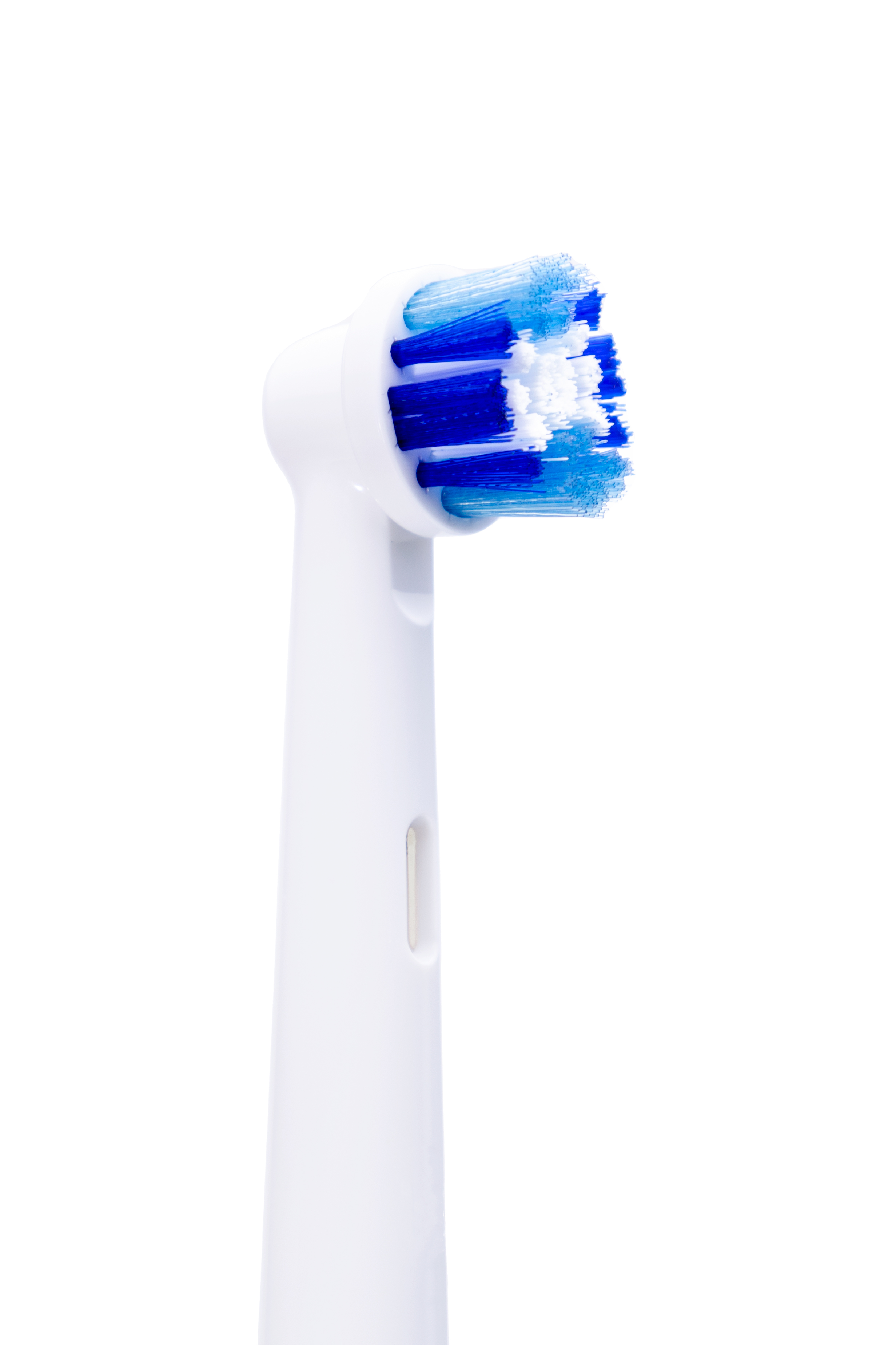 electric toothbrush isolated white background closeup replaceable